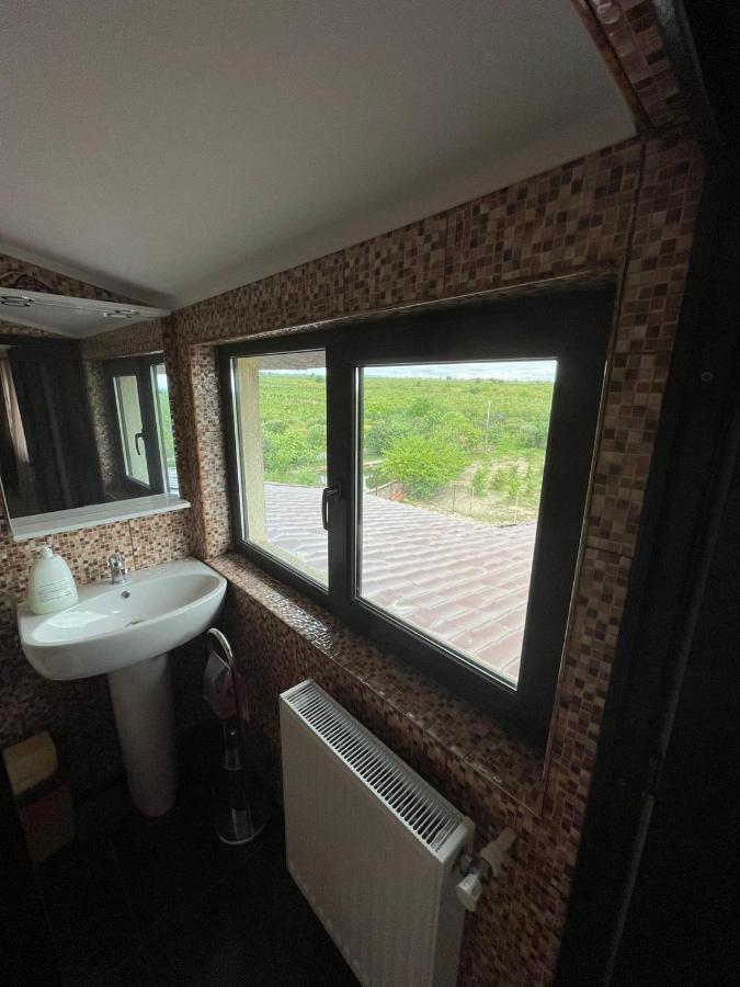 Motel Orion Obrejita Eksteriør bilde